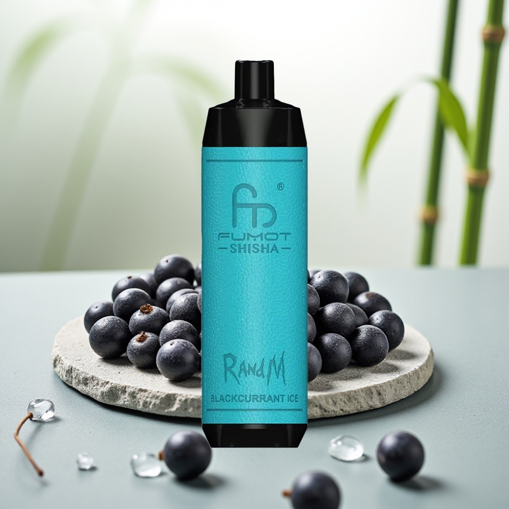 RandM Fumot Shisha 10000 Puffs - Coșmelie de Coacăz Negru și Gheață, 18ml, 0.5% Nicotină