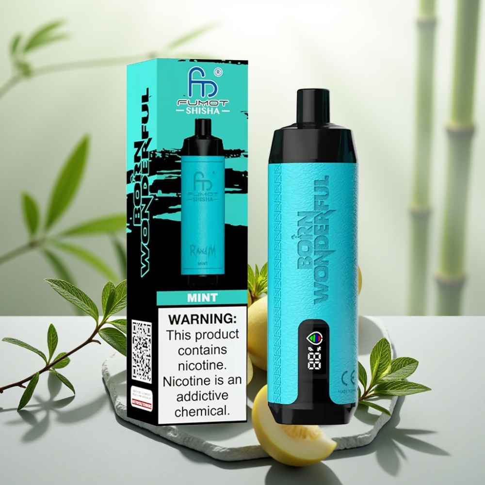 RandM Fumot Shisha 10000 Puffs Disposable Vape Mentă, 18ml, 0.5% Nicotină, 850mAh