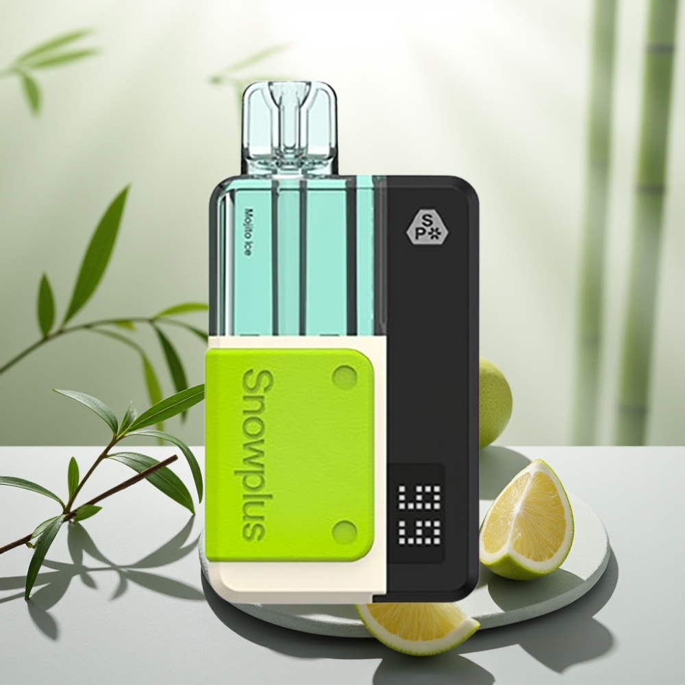 Snowplus Swift 5000 Puffs Prefilled Pod Kit Mojito Gheață, 1000 mAh, 2+10 ml